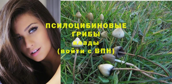 PSILOCYBIN Нея