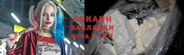 spice Новодвинск