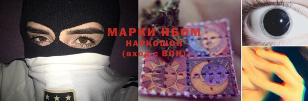 spice Новодвинск