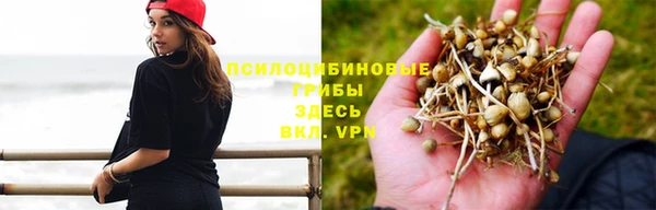 бошки Нефтегорск