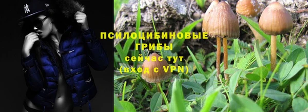 бошки Нефтегорск