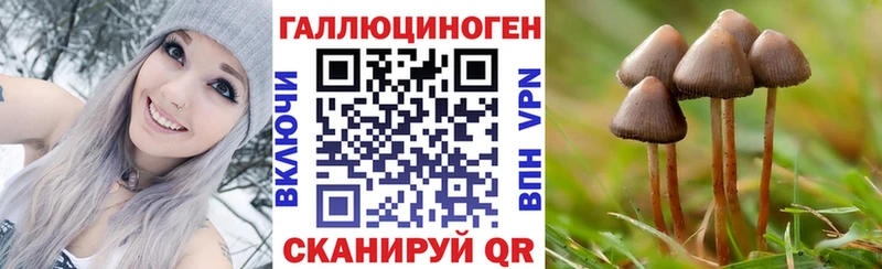 цены наркотик  Опочка  Псилоцибиновые грибы Magic Shrooms 