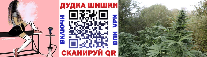 hydra как зайти  Опочка  Конопля гибрид 